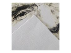 Canson "C" à grain - Album - reliure à spirale - A3 Plus (297 x 420 mm) - 30 feuilles - blanc naturel