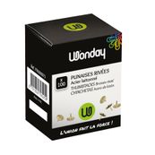 Wonday - 100 Punaises laitonnées (boîte)