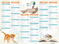 Oberthur Chatons - Calendrier 6 mois par face - 33,5 x 43 cm