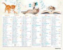 Oberthur - Mini calendrier 6 mois par face - différents motifs disponibles