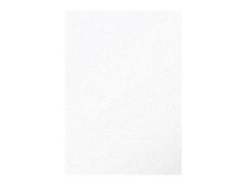 Pollen - 50 Feuilles papier couleur - A4 (21 x 29,7 cm) - 120 g/m² - blanc irisé