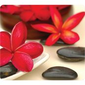 Fellowes - Tapis de souris Earth Series  - Spa