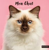 Calendrier illustré BOUCHUT 30 x 30 cm MON CHAT Pefc 70 %