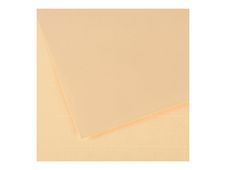 CANSON Ingres Vidalon 48 - papier à dessin