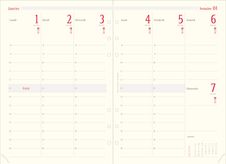 Oberthur 21 - Recharge pour organiseur - 1 semaine sur 2 pages à la verticale - 15 x 21 cm