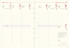 Oberthur 21 - Recharge internationale pour organiseur - 1 semaine sur 2 pages à la verticale - 15 x 21 cm