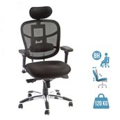 Fauteuil de bureau TECKNET - accoudoirs réglables - appuie-tête réglable - noir