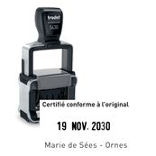 Tampon dateur métallique + 2 lignes de texte personnalisés - zone d'impression 41 x 24 mm - Trodat Professional 5430