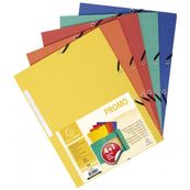 Exacompta - 5 Chemises à rabats dont 1 offerte - A4 - couleurs assorties