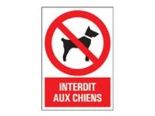 Pickup - Panneau Interdit aux chiens - 230 x 330 mm