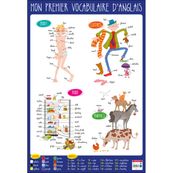 Bouchut - Poster pédagogique effaçable - 52 x 76 cm - Anglais