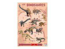 Bouchut - Poster Les Dinosaures - 52 x 76 cm