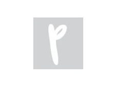 Pickup Déco Zoé - Étiquette autocollante 110 mm - Lettre P - blanc