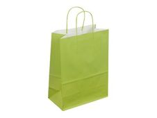 50 Sacs cadeau kraft - poignées torsadées - 22 cm x 12 cm x 31 cm - vert