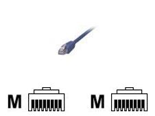 MCL Samar - câble réseau RJ45 CAT 5E F/UTP - 3 m - bleu