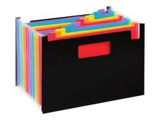 Viquel Rainbow Class Seatcase - Trieur extensible 12 positions