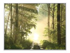 Cadre de décoration plexi/alu - 61 x 81 cm - Forêt