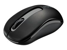 Rapoo M10 PLUS - souris - 2.4 GHz - noir