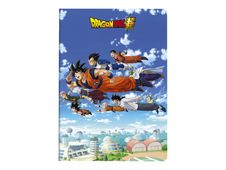 Clairefontaine Dragon Ball - Cahier A4 (21x29,7 cm) - 100 pages - grands carreaux (Seyes)
