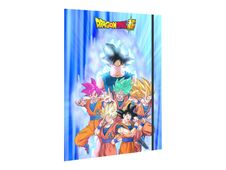 Clairefontaine Dragon Ball - Chemise à rabats - A4+