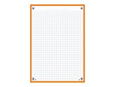 Oxford - Pack de 30 Fiches Bristol Scribzee - A5 - petits carreaux - perforées - orange