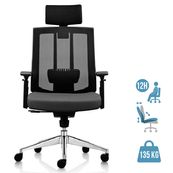 Fauteuil de bureau SHADE - accoudoirs réglables - appuie-tête réglable - noir et gris
