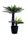 Plante artificielle cycas - hauteur 80 cm