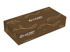 Lucart Professional EcoNatural - Boite distributrice de mouchoirs - 100 feuilles