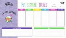 Quo Vadis Shaman - Sous-main papier - 25 x 43 cm - 55 feuilles