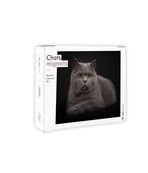 Semainier - Chats mignons Miaou