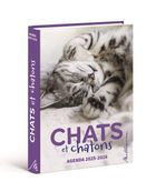 Agenda Chats et chatons 