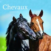Chevaux - Calendrier