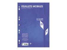 Calligraphe - feuilles simples A4 - 200 pages - petits carreaux (5x5 mm) - perforées