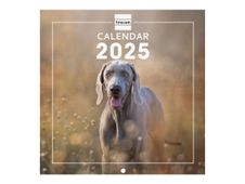 Finocam - Calendario - montaje en pared - 2025 - perros - un mes vista - 180 x 180 mm - fecha