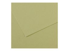Canson Mi-Teintes - Papier à dessin - 500 x 650 mm - 10 feuilles - vert clair