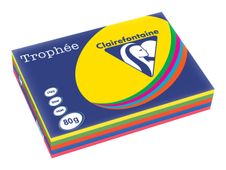 Clairefontaine Trophée - Papier couleur - A3 (297 x 420 mm) - 80 g/m² - 500 feuilles - coloris assortis