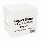 Papier blanc - A4 (210 x 297 mm) - 80 g/m² - 2500 feuilles (carton de 5 ramettes)