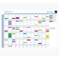 Exacompta - Planning annuel magnétique - effaçable à sec - 90 x 59 cm