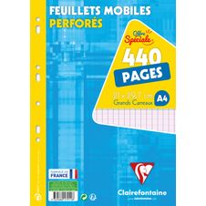 Clairefontaine - feuillets mobiles - 440 pages - A4 - grands carreaux (Seyes) - perforées
