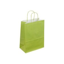 50 Sacs cadeau kraft - poignées torsadées - 22 cm x 12 cm x 31 cm - vert