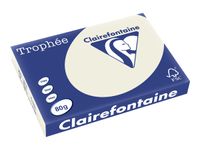 Clairefontaine Trophée - Papier couleur - A3 (297 x 420 mm) - 80 g/m² - Ramette de 500 feuilles - gris perle
