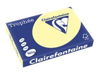 Clairefontaine Trophée - Papier couleur - A3 (297 x 420 mm) - 160 g/m² - Ramette de 250 feuilles - canari