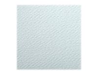 Clairefontaine - Papier dessin couleur à grain - feuille 50 x 65 cm - azur