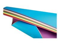 Clairefontaine - Papier dessin couleur à grain - feuille 50 x 65 cm - vert pomme