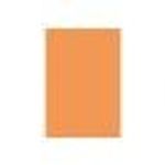 Pollen - 50 Feuilles papier couleur - A4 (21 x 29,7 cm) - 120 g/m² - clémentine