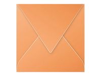 Pollen - 20 Enveloppes - 140 x 140 mm - 120 g/m² - clémentine