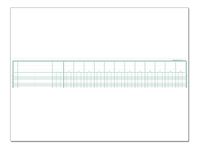 Exacompta - Piqûre comptable - 13 colonnes par page - 25 x 32 cm - 80 pages