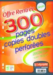Calligraphe - copies doubles sous film -300 pages - A4 - grands carreaux (Seyes) - perforées