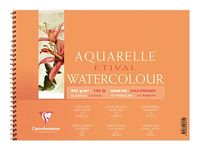 Clairefontaine Etival - Bloc dessin - 12 feuilles - 18 x 24 cm - 300 gr