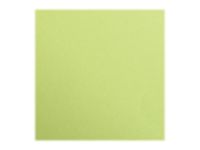 Clairefontaine Maya - Papier à dessin - 50 x 70 cm - 25 feuilles - 270 g/m² - vert mousse